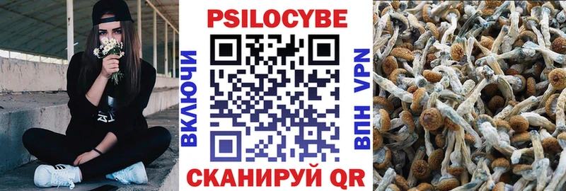 Псилоцибиновые грибы прущие грибы Гудермес
